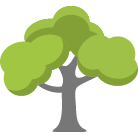 Pocatello Tree Trimming