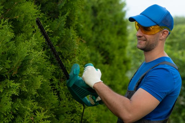 Tree Shaping Service in Pocatello