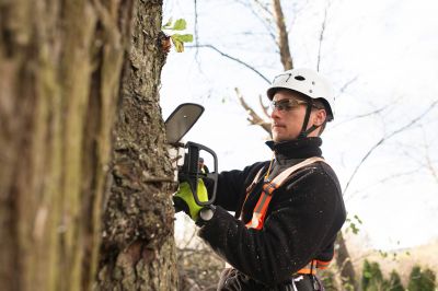 Advanced Tree Care Tools